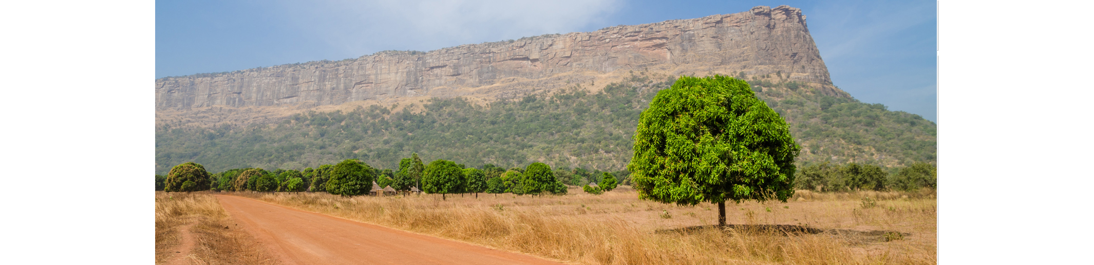 The Republic of Guinea benefits from the extension of the DSSI