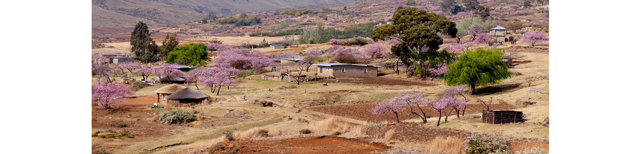 Le Lesotho bénéficie de l’initiative de suspension du service de la dette