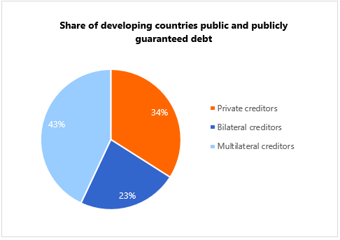 Share developing countries public and publicly guaranteed debt