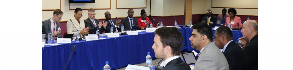 Paris Forum regional conference in St Kitts and Nevis