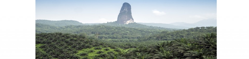 Sao Tome and Principe benefits from the debt service suspension initiative