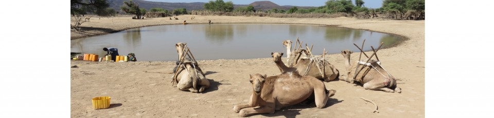 La République de Djibouti bénéficie de l’extension de l’ISSD